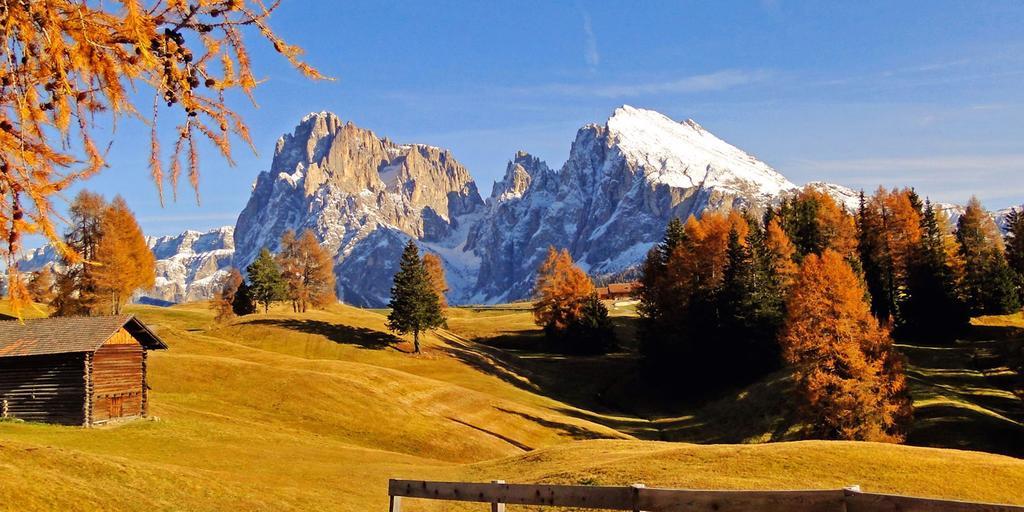 Camera Alpe Di Siusi Habitación foto
